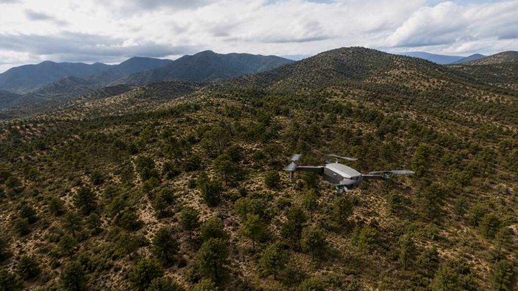 bosque vigilado con drn 