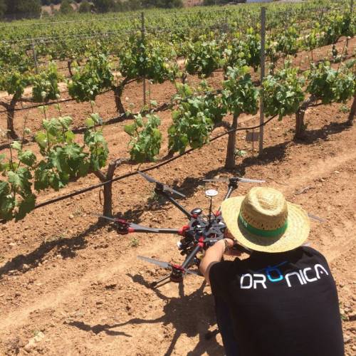 dronica-agricultura-4-768x1024